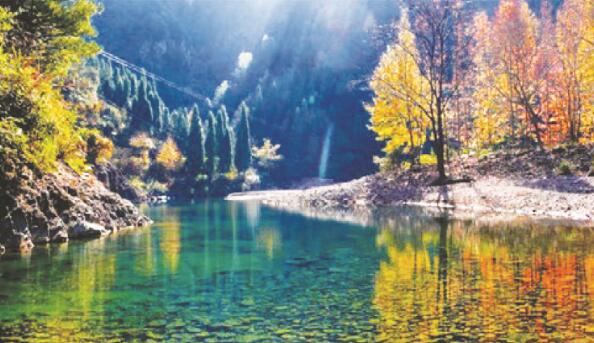 1637578021435215.jpg 3.jpg