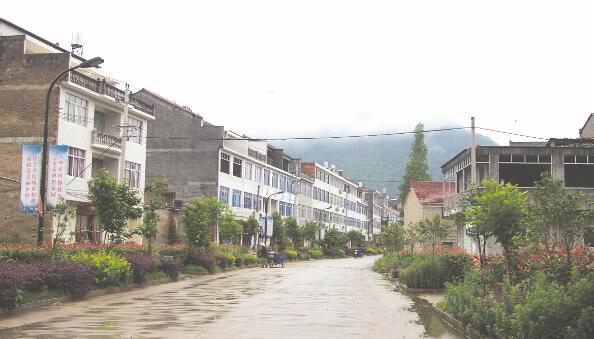 1637578038545080.jpg 4.jpg