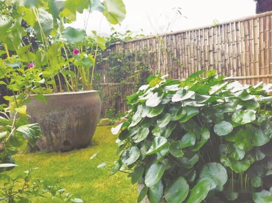 1637578087751458.jpg 6.jpg