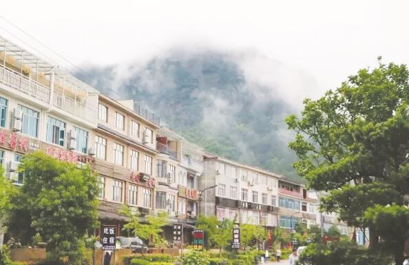 1637578112326183.jpg 7.jpg