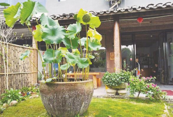 1637578150877688.jpg 10.jpg