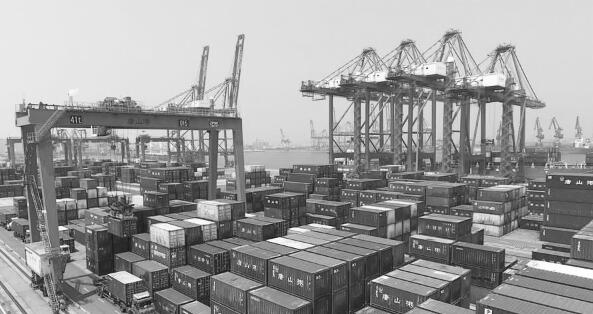 1638875896482496.jpg 1.jpg