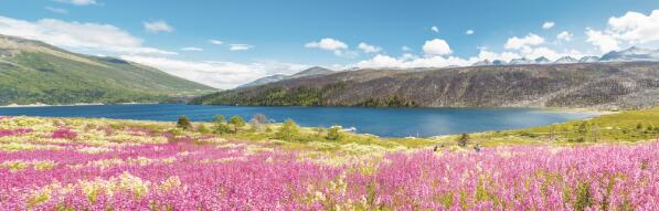 1639129917921522.jpg 1.jpg