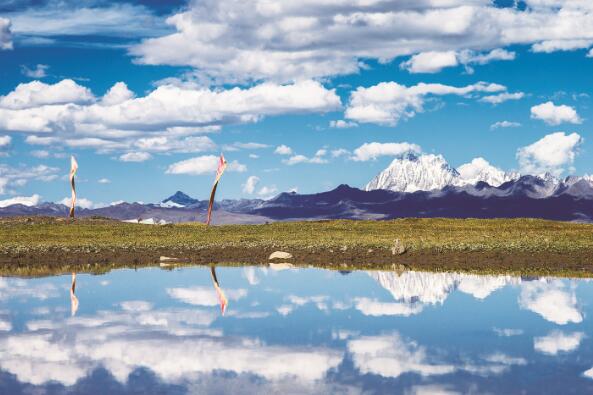 1639130025610618.jpg 1.jpg