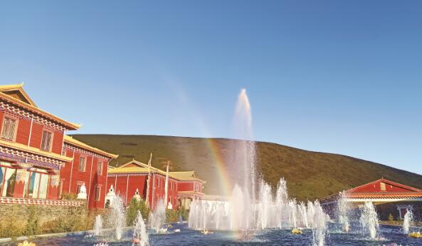 1639130042390982.jpg 3.jpg