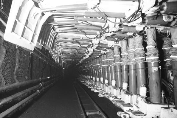 1639131665419732.jpg 1.jpg