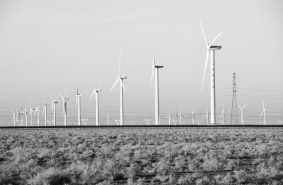 1640256914346389.jpg 1.jpg