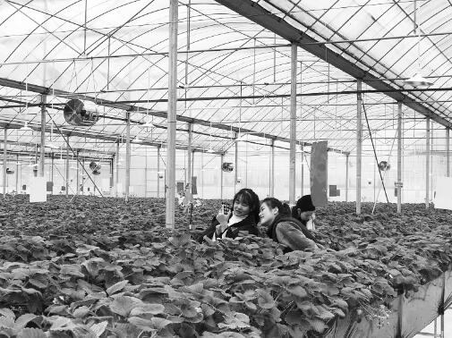 1640336631826705.jpg 2.jpg