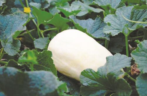 1640337202120881.jpg 3.jpg