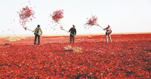 1644569215958126.jpg 1.jpg