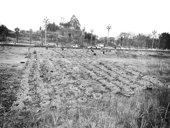 1644836562764138.jpg 1.jpg