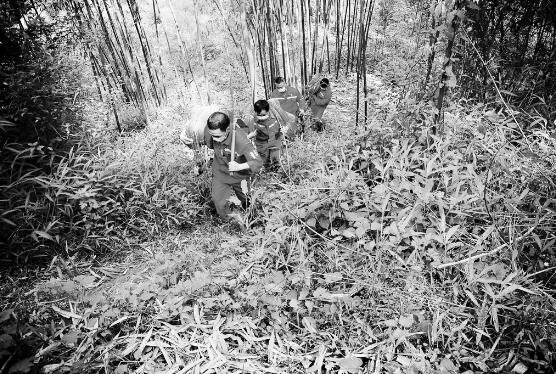 1644836569677317.jpg 2.jpg