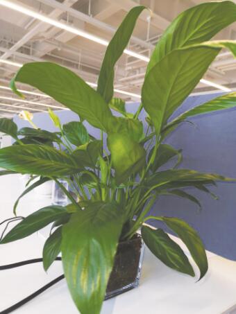 1644926634806132.jpg 2.jpg