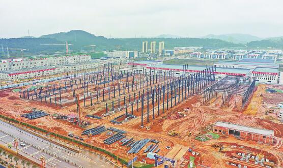 1645008507957017.jpg 6.jpg