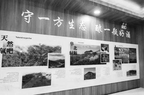 1645174077942374.jpg 1.jpg