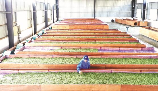 1647423498241804.jpg 2.jpg