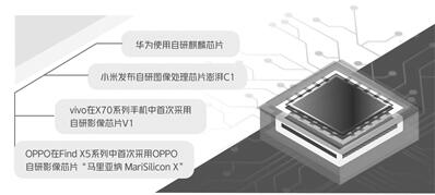 1647423672265523.jpg 1.jpg