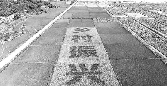 1647944994670320.jpg 1.jpg