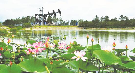 1647945487486722.jpg 1.jpg