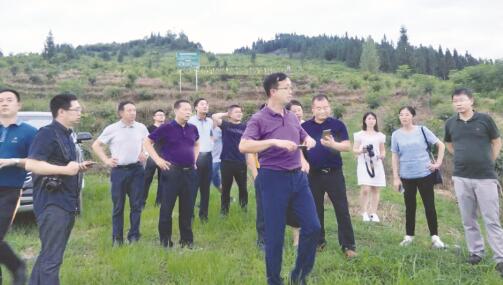 1649326542110130.jpg 1.jpg