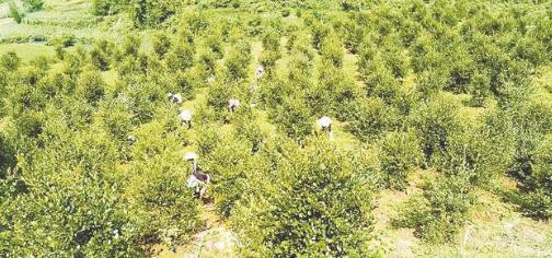 1649326582174485.jpg 2.jpg