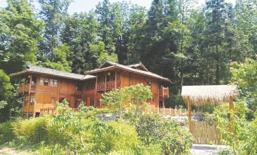 1649326599532090.jpg 3.jpg