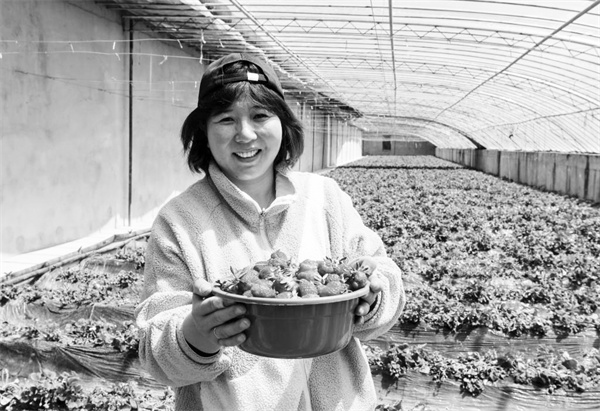 1652016676931351.jpg 3-2 5 来自河南的农民.jpg