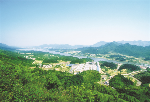 8-15 原酒基地三期俯瞰.jpg