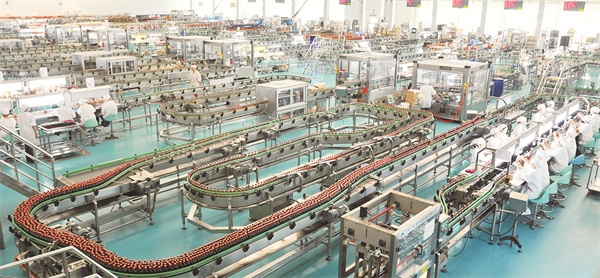 8-6 劲牌包装车间.jpg