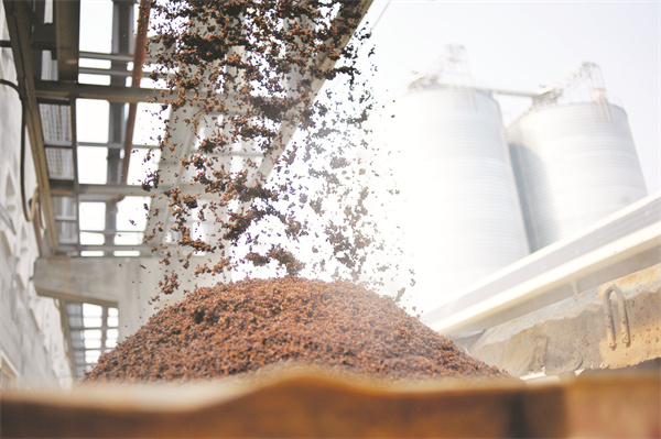 8-13 小曲酒新工艺-酒糟处理.jpg