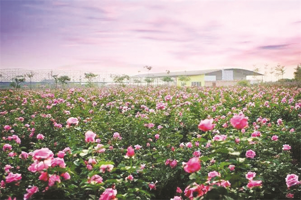 4-1 图配文1 1.jpg