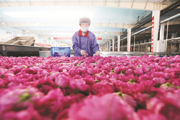 4-2 图配文1 2.jpg