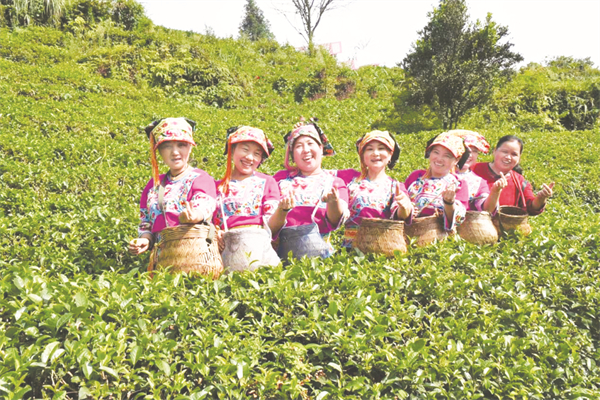 1657961193458504.jpg 4-3 1-3彭小燕与苗家采茶姑娘在茶园.jpg