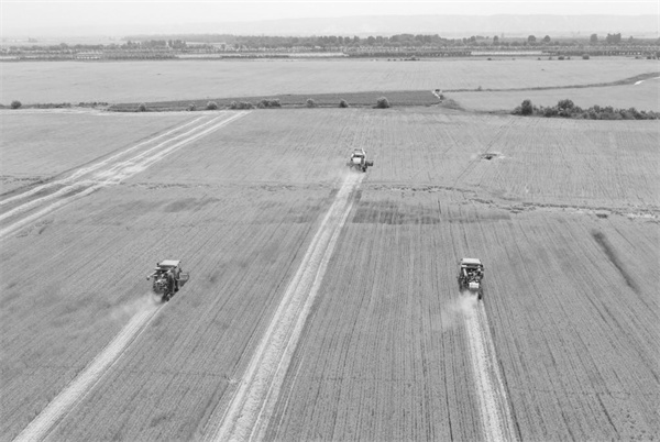 3-2 2 6月8日，在河津市连.jpg