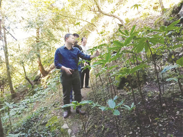 1658925718652139.jpg 8-2 2 淳安县.jpg