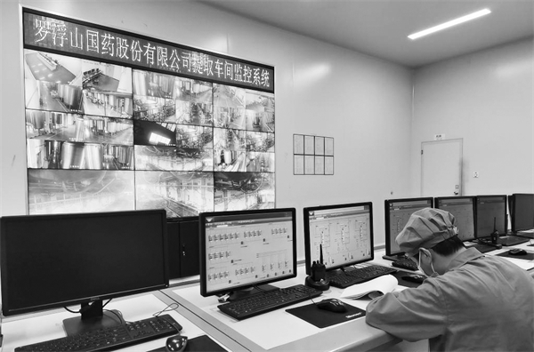 6-2 图配文3广东罗浮山国药股.jpg