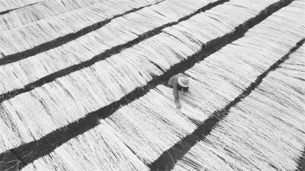 3-5 6 图片新闻.jpg