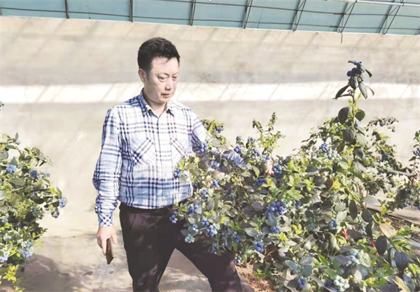 1661347855647993.jpg 1-1 1 1 李亚东教授.jpg