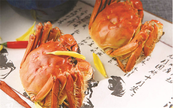 4-2 图配文1 2.jpg