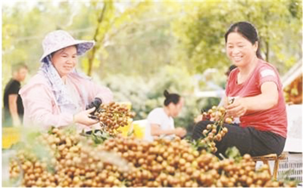 4-5 图配文5广西农业品.jpg