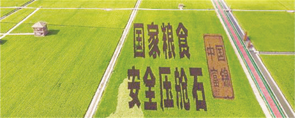 8-1 1 北大荒的十年答卷.jpg