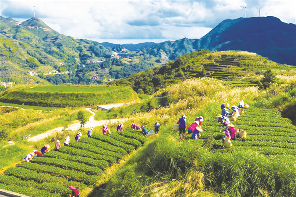 1665571102271641.jpg 8-1 1 安溪.jpg