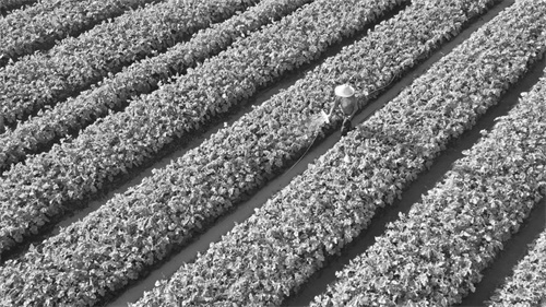 7-2 6图片新闻.jpg