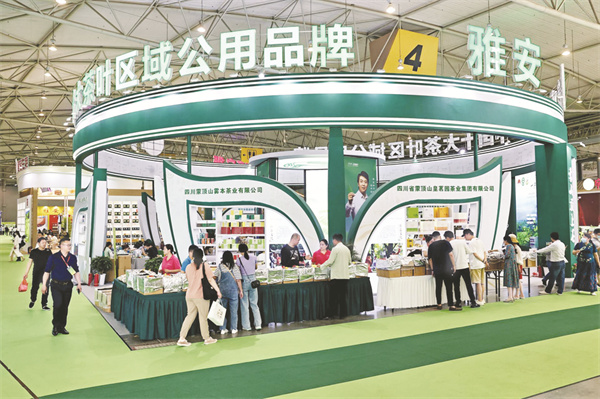 5-2 1 2 （组委会供图）.jpg