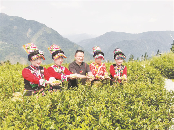 5-6 2 2捧着刚采的茶叶，个个笑逐颜开。.jpg