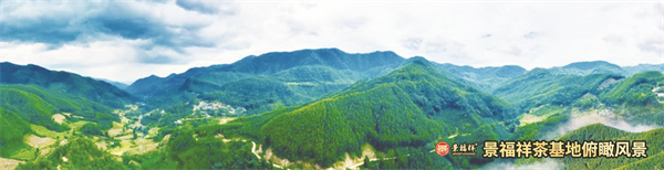 8-2 1 2云茶后起之秀4990.jpg