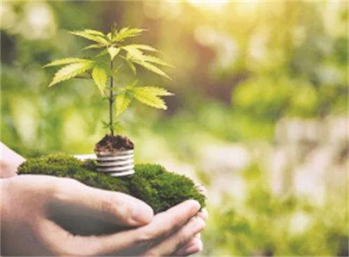 1667027650887906.jpg 1-4 图配文3.jpg