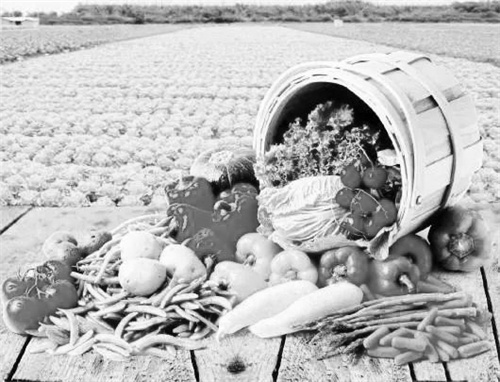 2-2 图配文2农业品牌.jpg