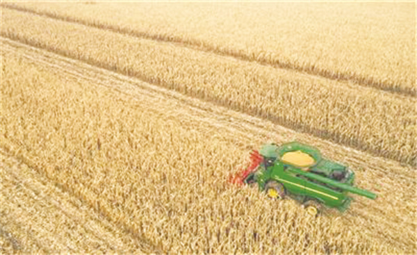 1667389909713042.jpg 8-2 4 “绿科技”里的丰收密码.jpg