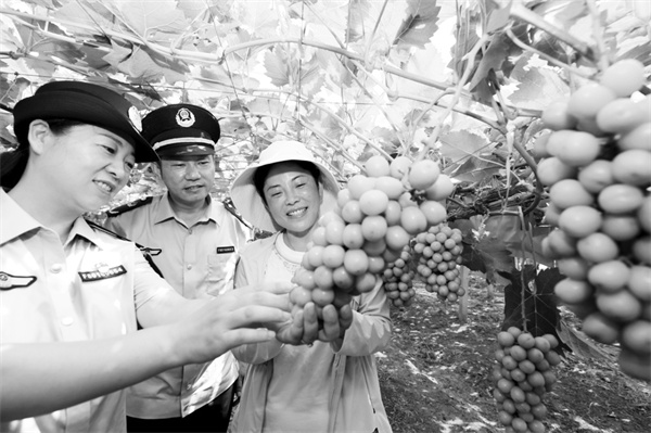 1667541431554967.jpg 2-2 图配文2拓展重点领域品牌.jpg